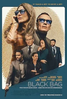 Black Bag poster