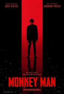 Monkey man poster