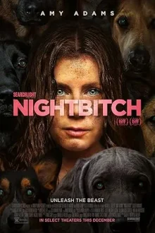NightBitch poster