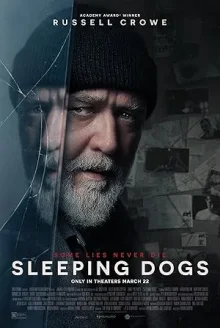 Sleeping Dogs poster